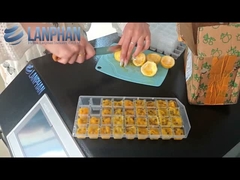 บ้าน วัคูม ฟรีส ไดร์เรอร์ ผลไม้ Lyophilizer เครื่องมือ