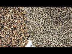 เครื่องคัดแยกสีข้าว เมล็ดกาแฟ เมล็ดข้าว เมล็ดข้าวสาลี เครื่องคัดแยกอัตโนมัติ