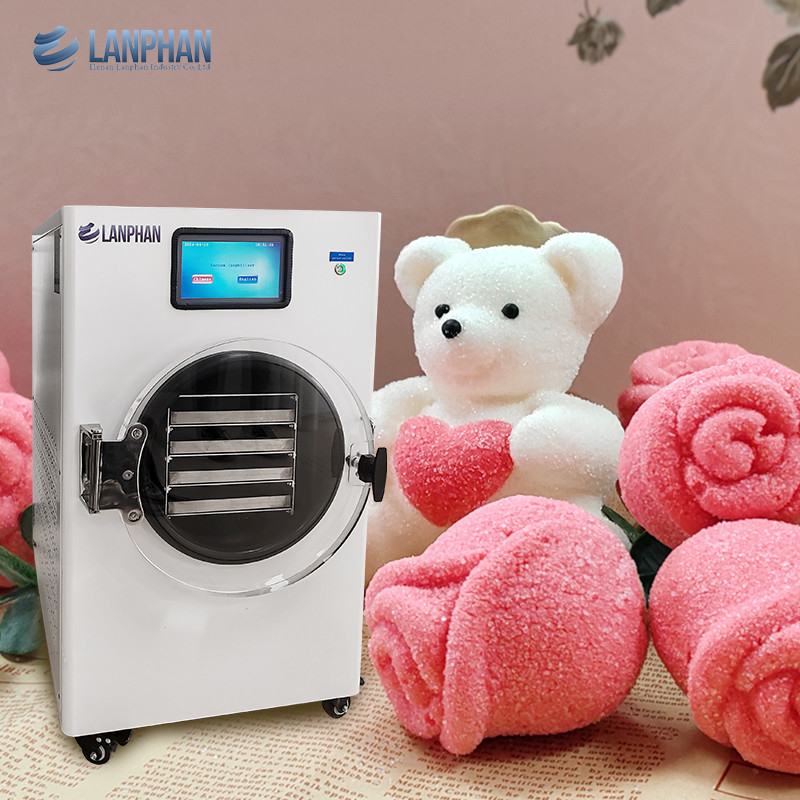 Home เครื่องทําอาหารแห้งแบบต้มแข็ง พร้อมปั๊มสูบขัดขวาง สําหรับขนมหวานที่ทําด้วยมือ