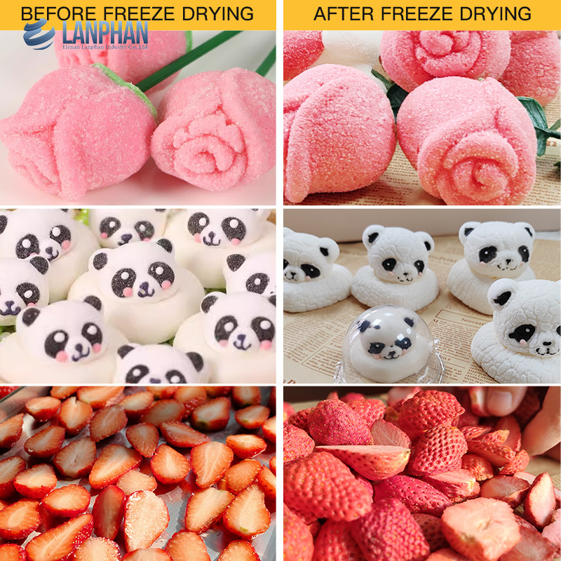 Lanphan 7-Tray Medium Home Freeze Dryer สีดํา สีขาว Freeze Dry At Home สําหรับผลไม้อาหาร