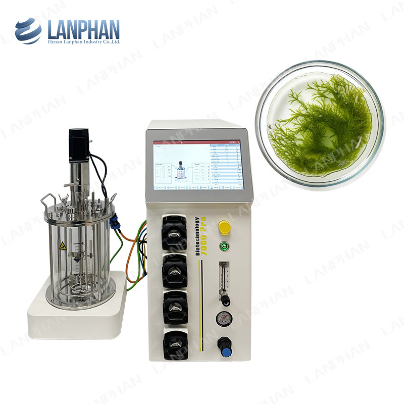 มินิไมโครเบียล / แบคทีเรีย Fermenter Bioreactor 1l Lab Fermenter Bioreactor สําหรับผึ้ง