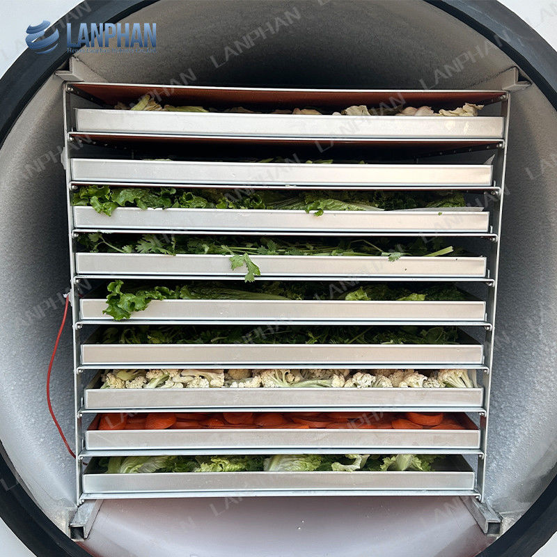 แลนฟาน อัตโนมัติ เครื่องแห้งแข็งขนาดใหญ่ 5m2 เครื่องแห้งแข็งสําหรับเนื้อ ผลไม้ ผัก