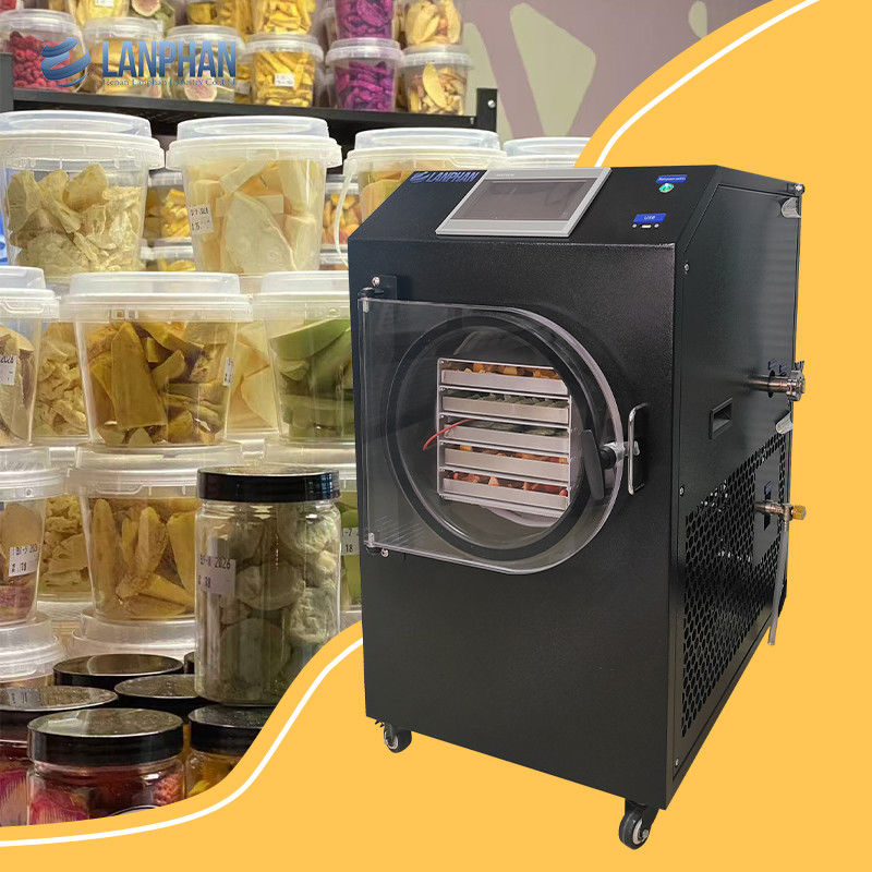 Small Freeze Dryer Lanphan New Upgrade 0.5m2 Black Freeze Drying Machine With Vacuum Pump
