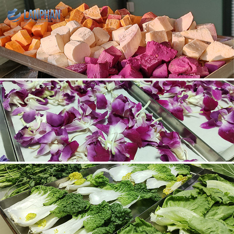 เครื่องอบแห้งแบบแช่เยือกแข็ง เครื่องอบแห้งแบบแช่เยือกแข็งสำหรับเนื้อสัตว์ อาหารสัตว์เลี้ยง ผลไม้อบแห้ง