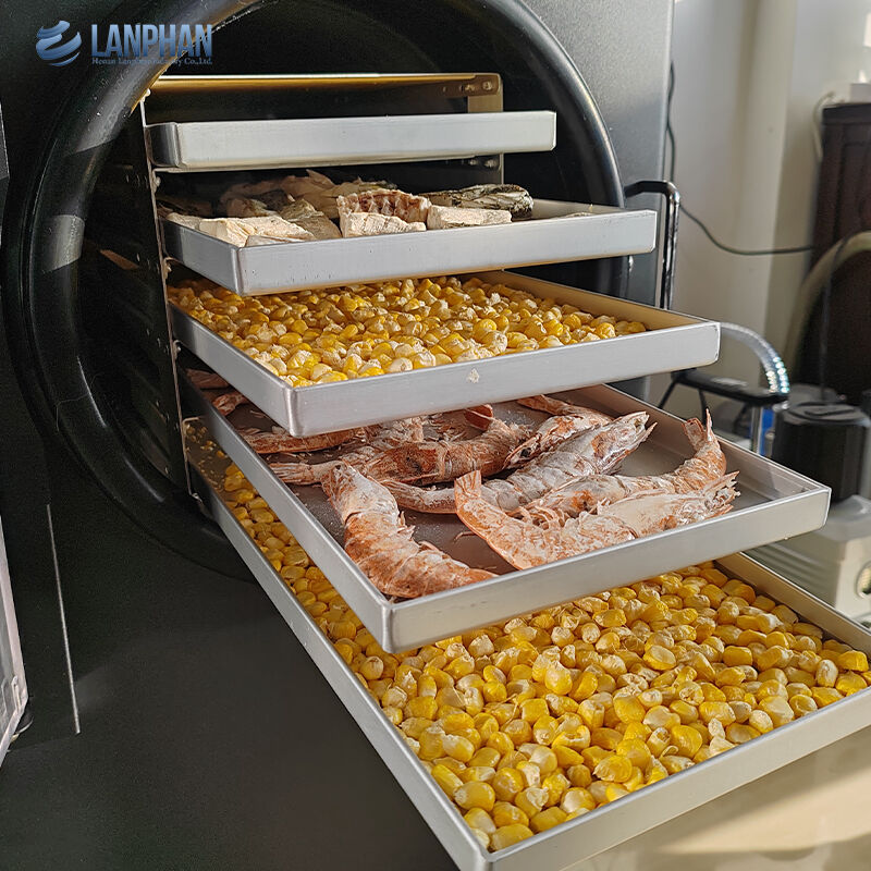 5-Tray ขนาดเล็ก สแตนเลส เครื่องแห้งเย็นกับปั๊มน้ํามัน สําหรับอาหารหวาน