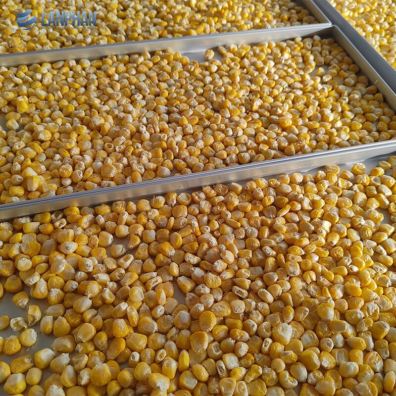 5-Tray ขนาดเล็ก สแตนเลส เครื่องแห้งเย็นกับปั๊มน้ํามัน สําหรับอาหารหวาน