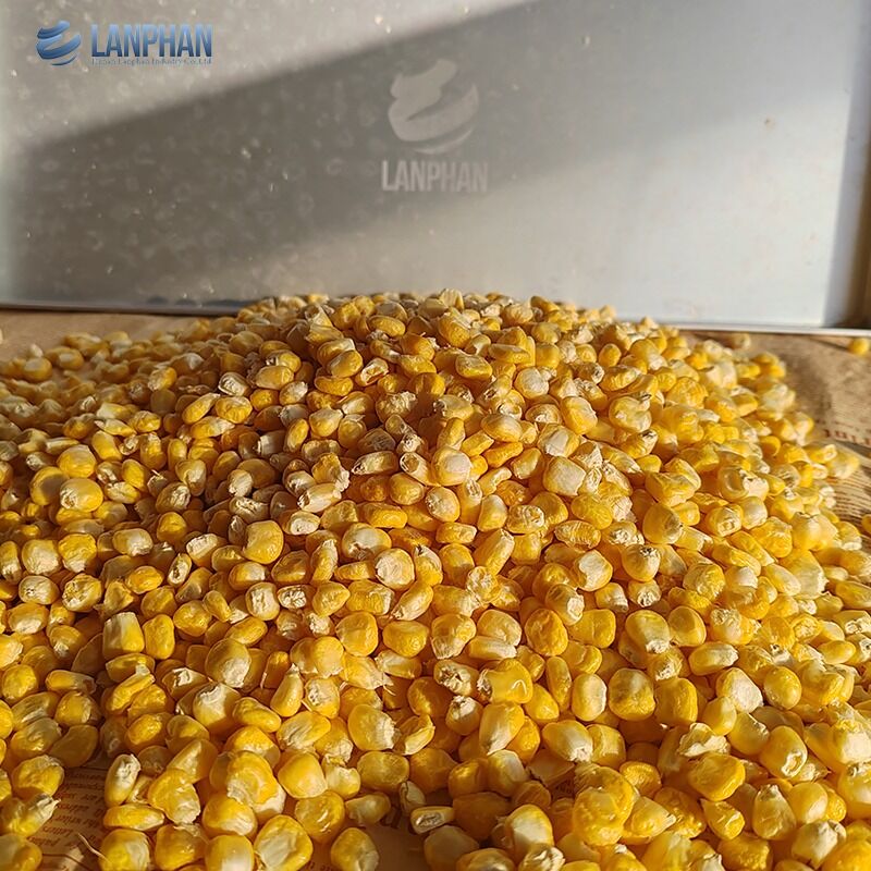 4-6KG อัตโนมัติ อาหารเล็ก ผลไม้ เนื้อ วาคูม เครื่องแห้งเย็นสําหรับการใช้ในบ้าน